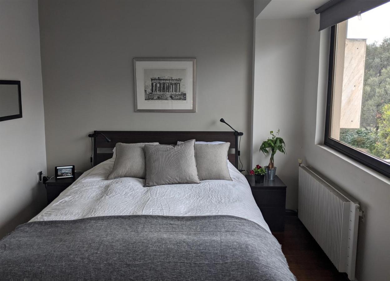 Holodek Apartments : Parthenon アテネ エクステリア 写真