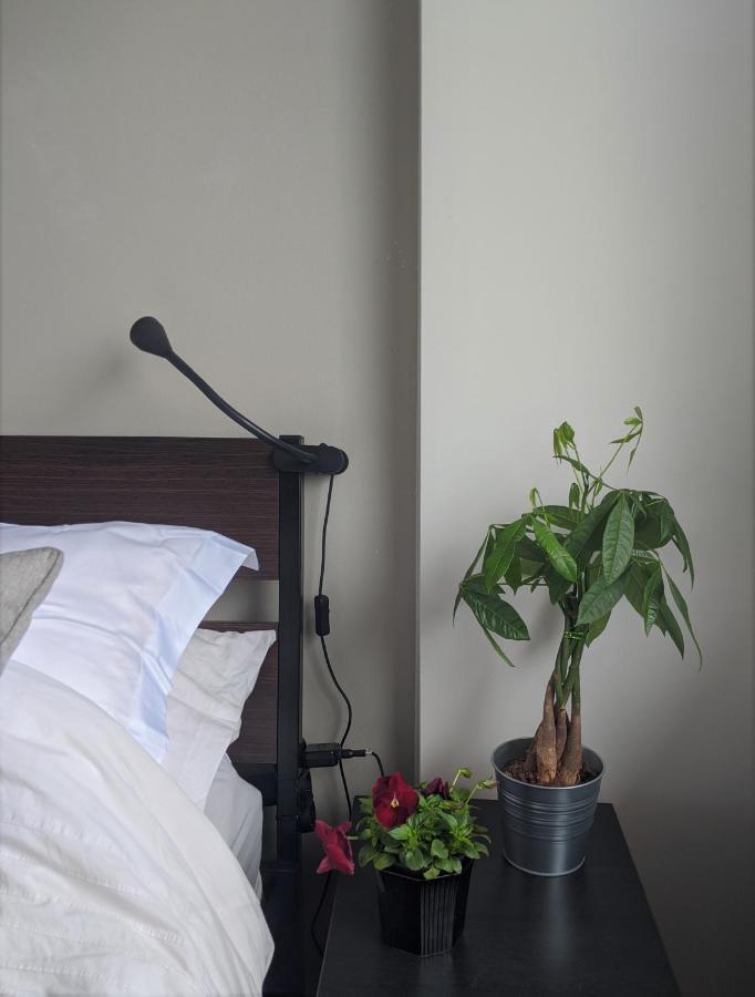 Holodek Apartments : Parthenon アテネ エクステリア 写真